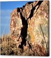 Wood Glass, Petrified Forest Canvas Print