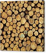 Wood Logs Canvas Print