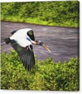 Wood Stork Canvas Print