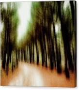 Autumn Path 1 Canvas Print