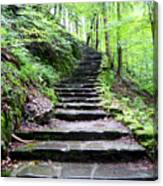 Woodland Stairs Canvas Print