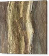 Wrapped Figure In Brown Canvas Print