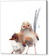 Wren Birds Art Print Canvas Print