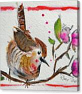 Wren In A Cherry Blossom Tree Canvas Print