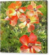 Yellow And Orange Hibiscus Canvas Print