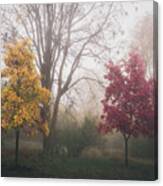 Yellow And Red Trees In Autumn Fog Canvas Print