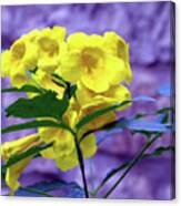 Yellow Flower Canvas Print