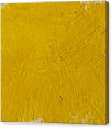 Yellow Paint Strokes Texture Canvas Print