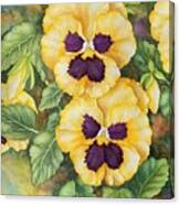 Yellow Pansies, Colorful Smile Canvas Print
