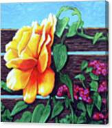 Yellow Rose Of Missouri Canvas Print
