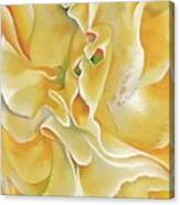 Yellow Sweet Peas - Modernist Flower Detail Painting Canvas Print