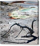 Yellowstone Geyser Pools 2 Canvas Print