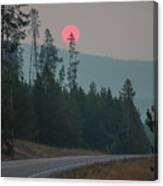 Yellowstone Pink Sunrise Canvas Print
