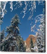 Yosemite Falls Winter Yosemite National Park Canvas Print