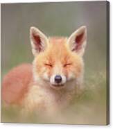 Zen Fox Series- Happy Baby Fox Canvas Print