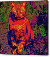 Zombie Cat Canvas Print