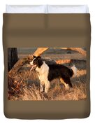 Border Collie At Sunset Duvet Cover by Michelle Wrighton