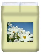 DAISIES Flowers Art Prints White Daisy Flower Gardens Photograph by ...