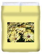 Field of Daisies Landscape Floral art prints Daisy Baslee Troutman ...