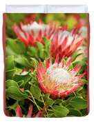 King Protea Flowers Duvet Cover King Protea Flowers Duvet Cover