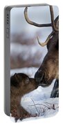 Caribou Mother Nuzzling Calf Portable Battery Charger Caribou Mother Nuzzling Calf Portable Battery Charger
