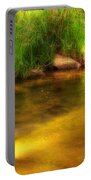 Golden Reflections Portable Battery Charger
