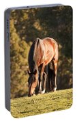 Grazing Horse At Sunset Portable Battery Charger by Michelle Wrighton