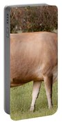 Jersey Cow In Pasture Portable Battery Charger