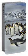 King Penguins St Andrews Bay South Portable Battery Charger King Penguins St Andrews Bay South Portable Battery Charger