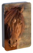 Shetland Pony At Sunset Portable Battery Charger by Michelle Wrighton