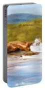 Waterfall Beach Denmark Painting Portable Battery Charger