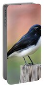 Willy Wagtail Austalian Bird Painting Portable Battery Charger