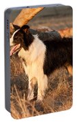 Border Collie At Sunset Portable Battery Charger by Michelle Wrighton