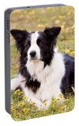 Border Collie In Field Of Yellow Flowers Portable Battery Charger by Michelle Wrighton