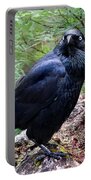 Nevermore Portable Battery Charger