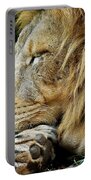 The Lions Sleeps Portable Battery Charger