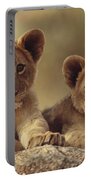 African Lion Cubs Resting On A Rock Portable Battery Charger African Lion Cubs Resting On A Rock Portable Battery Charger
