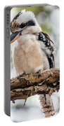 Blue-winged Kookaburra Portable Battery Charger Blue-winged Kookaburra Portable Battery Charger