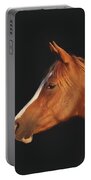 Soulful Gaze Of A Horse Portable Battery Charger