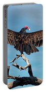 Turkey Vulture Perched In A Dead Tree Portable Battery Charger Turkey Vulture Perched In A Dead Tree Portable Battery Charger