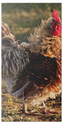 Frizzle Rooster Beach Towel