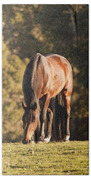 Grazing Horse At Sunset Beach Towel by Michelle Wrighton