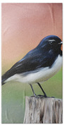 Willy Wagtail Austalian Bird Painting Beach Towel