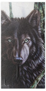 Black Wolf Painting by Sandi Baker - Fine Art America