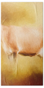 Jersey Cow In Field Beach Towel