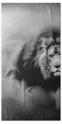 Lion - Pride Of Africa 3 - Tribute To Cecil In Black And White Beach Towel