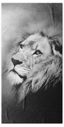 Lion - Pride Of Africa II - Tribute To Cecil In Black And White Beach Towel