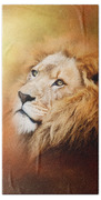 Lion - Pride Of Africa II - Tribute To Cecil Beach Towel