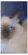 Zen Ragdoll Cat Beach Towel by Michelle Wrighton