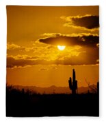 A Golden Southwest Sunset Photograph by Saija Lehtonen - Fine Art America